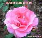 ֹ,ʡ󷨵ӹ編ִʦ𻪵(22)
