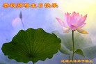 ֹ,ʡ󷨵ӹ編ִʦ𻪵(22)
