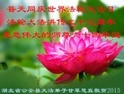 ֹ,󷨵ӹ編ִʦ𻪵(27)
