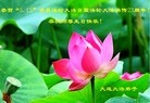 ֹ,󷨵ӹ編ִʦ𻪵(26)
