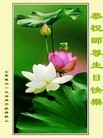 ֹ,д󷨵ӹ編ִʦ𻪵(25)
