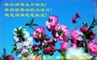 ֹ,ൺ󷨵ӹ編ִʦ𻪵(21)
