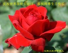 ֹ,ʡ󷨵ӹ編ִʦ𻪵(22)
