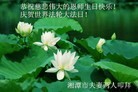 法轮功,湖南大法弟子恭贺世界法轮大法日暨师尊华诞(26条)
