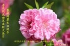 ֹ,󷨵ӹ編ִʦ𻪵(23)

