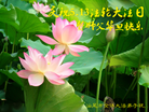 ֹ,㶫󷨵ӹ編ִʦ𻪵(23)
