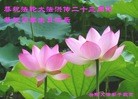 法轮功,湖南大法弟子恭贺世界法轮大法日暨师尊华诞(26条)
