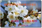 ֹ,󷨵ӹ編ִʦ𻪵(22)
