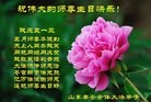 ֹ,ɽ󷨵ӹ編ִʦ𻪵(19)
