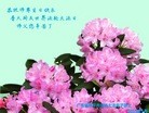 ֹ,㶫󷨵ӹ編ִʦ𻪵(23)
