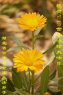 ֹ,󷨵ӹ編ִʦ𻪵(27)
