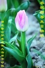 ֹ,󷨵ӹ編ִʦ𻪵(27)
