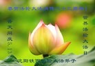 ֹ,󷨵ӹ編ִʦ𻪵(20)
