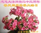 ֹ,Ϋ󷨵ӹ編ִʦ𻪵(29)
