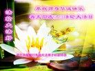 ֹ,󷨵ӹ編ִʦ𻪵(29)
