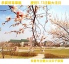 ֹ,󷨵ӹ編ִʦ𻪵(25)
