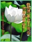 法轮功,长春大法弟子恭贺世界法轮大法日暨师尊华诞(25条)
