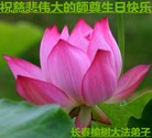 法轮功,长春大法弟子恭贺世界法轮大法日暨师尊华诞(25条)
