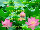 ֹ,㽭󷨵ӹ編ִʦ𻪵(22)
