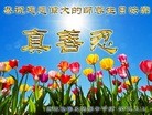 ֹ,㽭󷨵ӹ編ִʦ𻪵(22)
