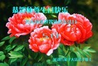 ֹ,ʡ󷨵ӹ編ִʦ𻪵(22)
