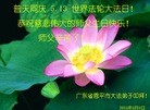 ֹ,㶫󷨵ӹ編ִʦ𻪵(23)

