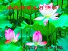 ֹ,󷨵ӹ編ִʦ𻪵(23)
