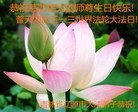 ֹ,ʡ󷨵ӹ編ִʦ𻪵(22)
