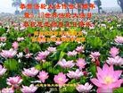 ֹ,󷨵ӹ編ִʦ𻪵(22)
