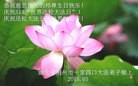 ֹ,󷨵ӹ編ִʦ𻪵(32)
