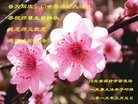 ֹ,ȷ󷨵ӹ編ִʦ𻪵(25)

