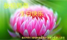 法轮功,重庆大法弟子恭贺世界法轮大法日暨师尊华诞(22条)
