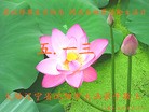 ֹ,󷨵ӹ編ִʦ𻪵(23)
