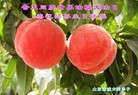 ֹ,Ϋ󷨵ӹ編ִʦ𻪵(24)
