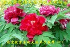 ֹ,󷨵ӹ編ִʦ𻪵(27)
