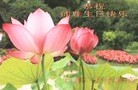 ֹ,Ϻ󷨵ӹ編ִʦ𻪵(29)
