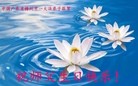 ֹ,㶫󷨵ӹ編ִʦ𻪵(27)
