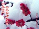 ֹ,󷨵ӹ編ִʦ𻪵(27)
