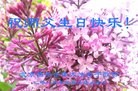 ֹ,󷨵ӹ編ִʦ𻪵(25)
