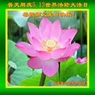 ֹ,ʯׯ󷨵ӹ編ִʦ𻪵(21)
