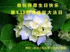 ֹ,ݴ󷨵ӹ編ִʦ𻪵(23)
