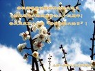 ֹ,Ϻ󷨵ӹ編ִʦ𻪵(29)
