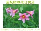 ֹ,մ󷨵ӹ編ִʦ𻪵(27)
