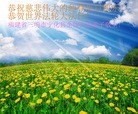 ֹ,󷨵ӹ編ִʦ𻪵(26)
