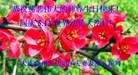 ֹ,󷨵ӹ編ִʦ𻪵(22)
