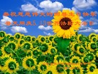 ֹ,«󷨵ӹ編ִʦ𻪵(22)

