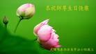 ֹ,󷨵ӹ編ִʦ𻪵(28)
