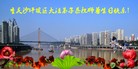 法轮功,重庆大法弟子恭贺世界法轮大法日暨师尊华诞(25条)

