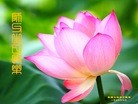 ֹ,󷨵ӹ編ִʦ𻪵(46)
