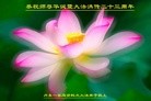ֹ,½󷨵ӹ編ִʦ𻪵(33)
